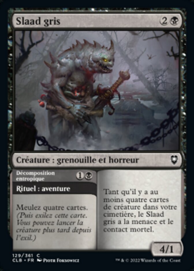 Gray Slaad // Entropic Decay