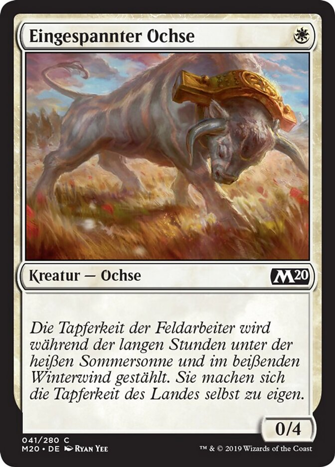 Eingespannter Ochse