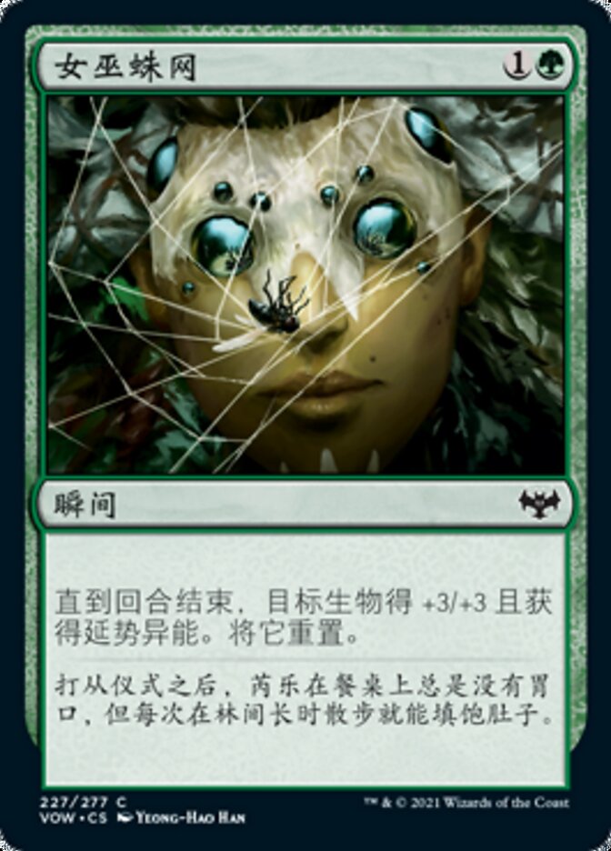 女巫蛛网