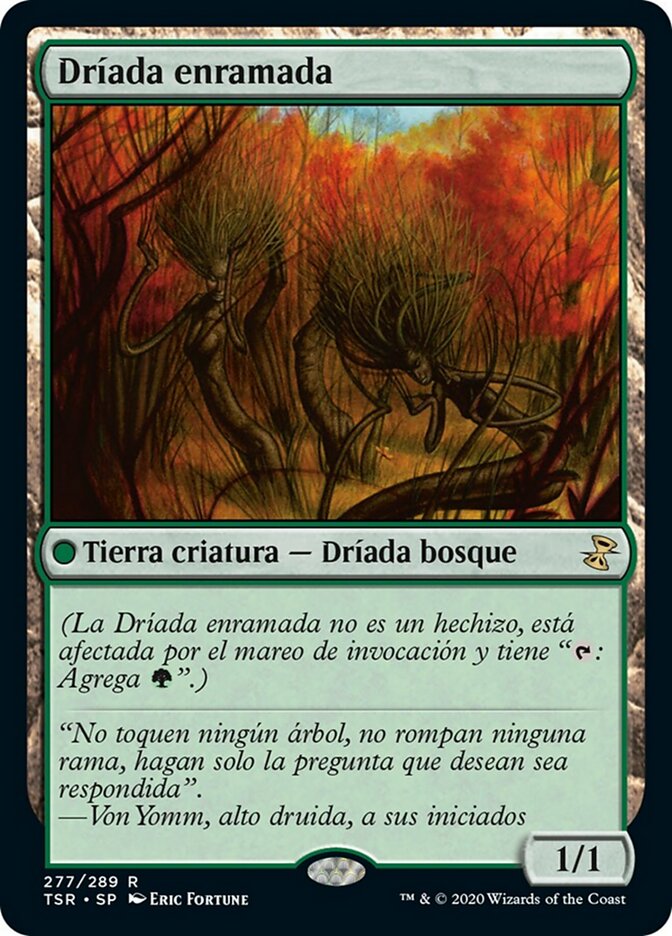 Dríada enramada