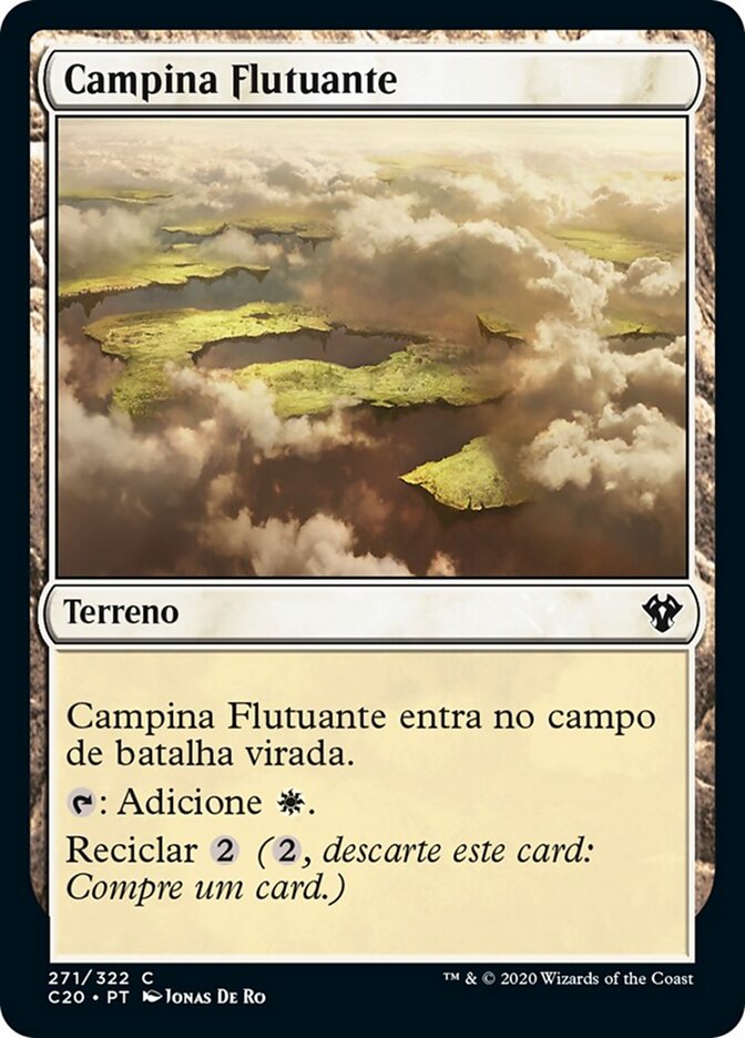 Campina Flutuante