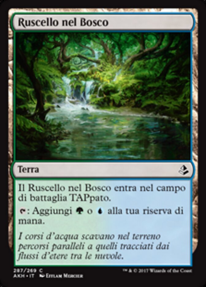 Ruscello nel Bosco