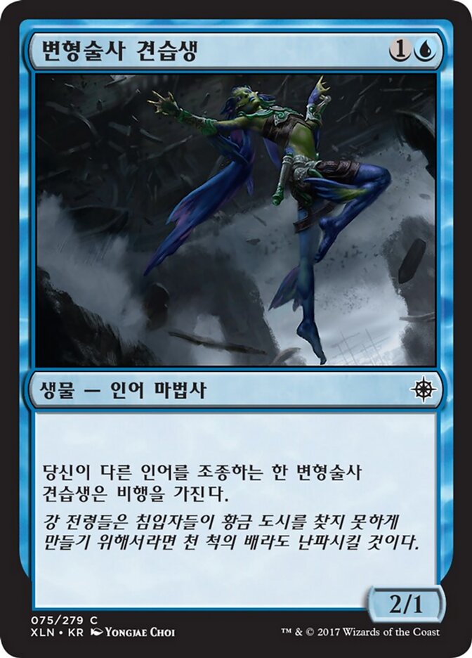 변형술사 견습생