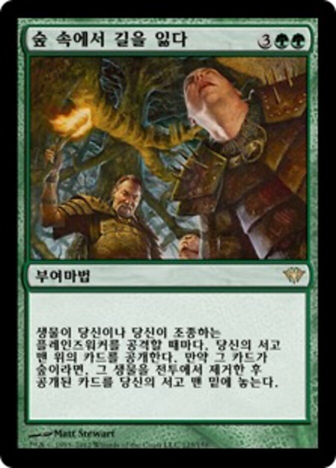 숲 속에서 길을 잃다