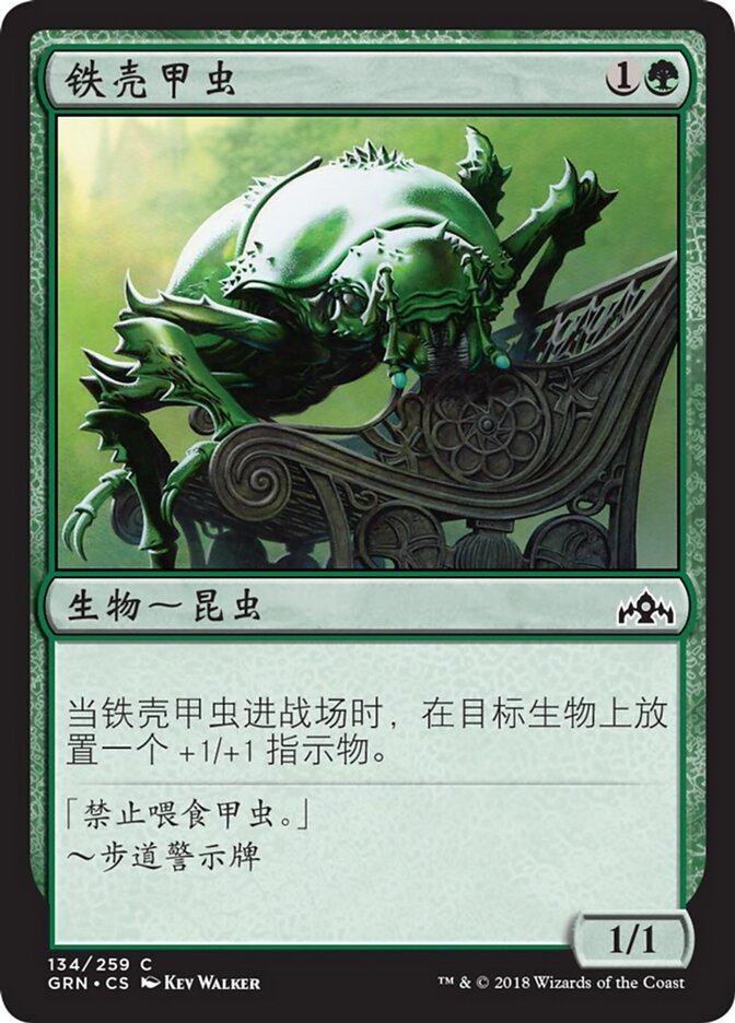 铁壳甲虫