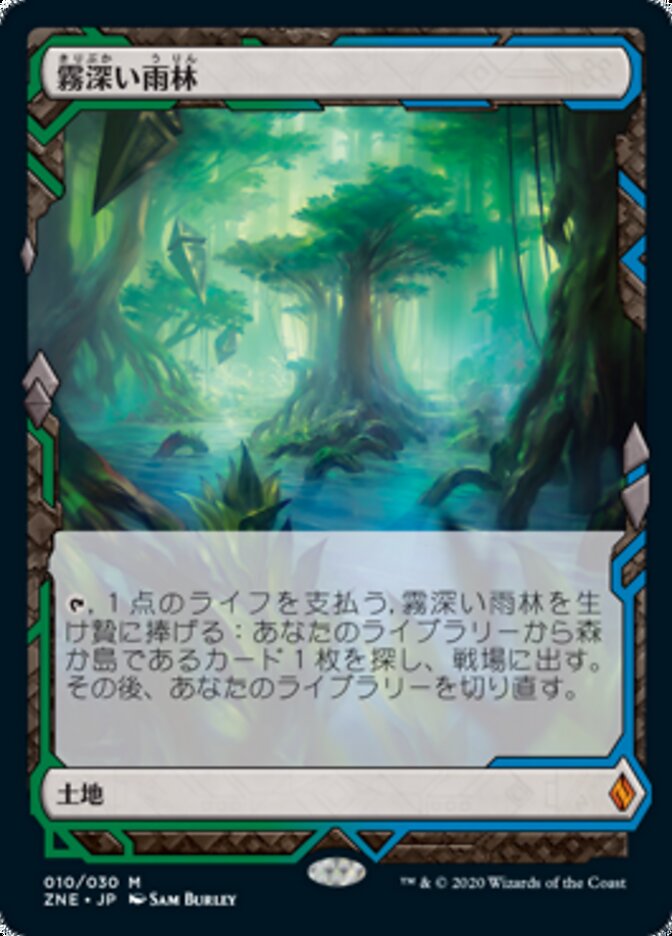霧深い雨林