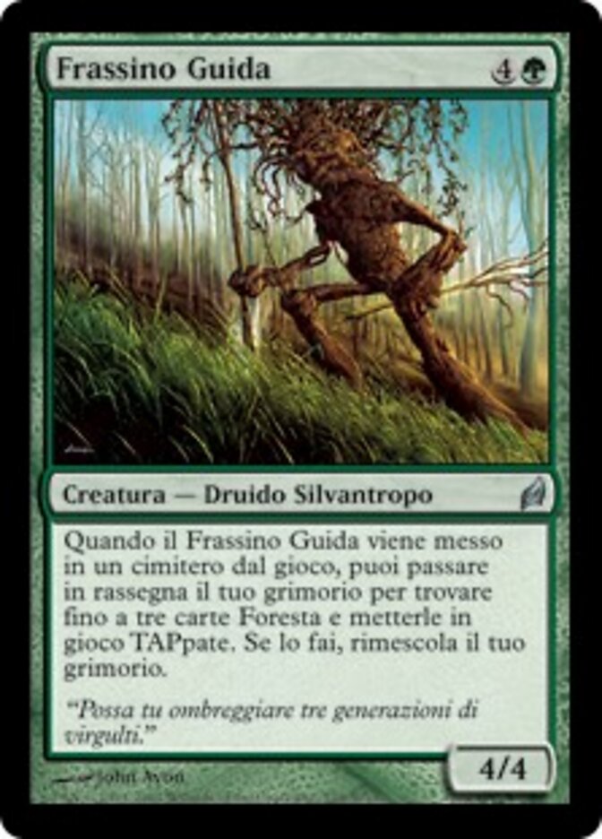 Frassino Guida