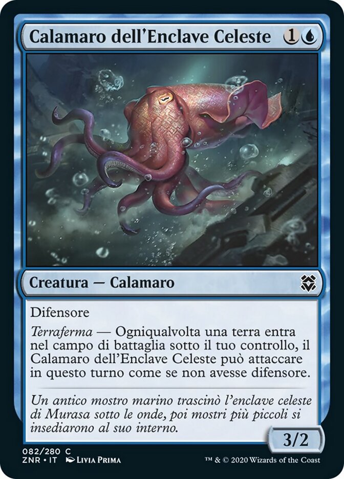 Calamaro dell'Enclave Celeste