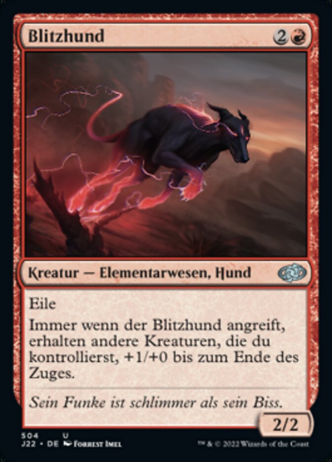 Blitzhund