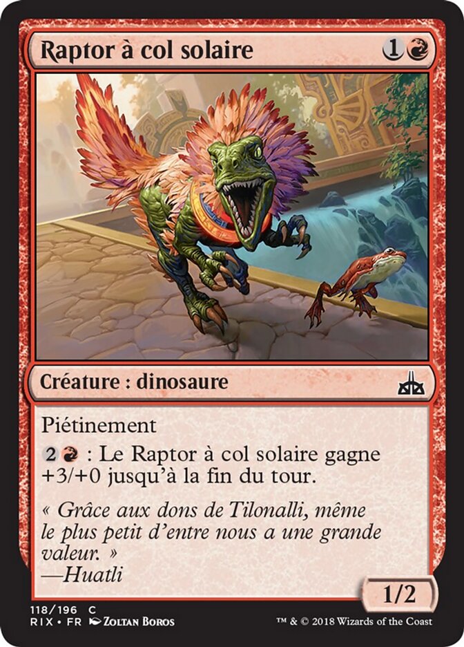 Raptor à col solaire