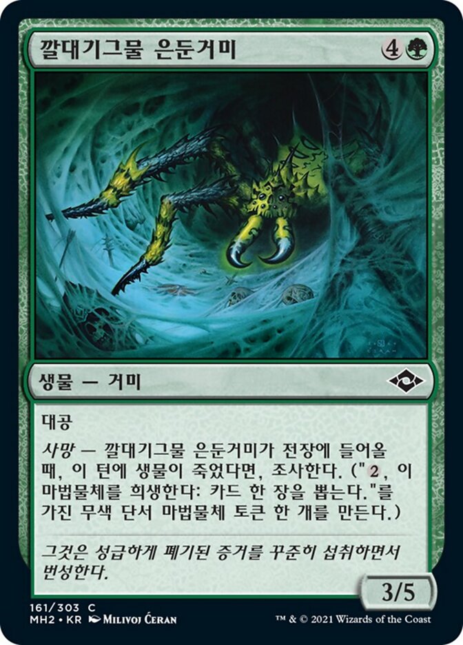 깔대기그물 은둔거미