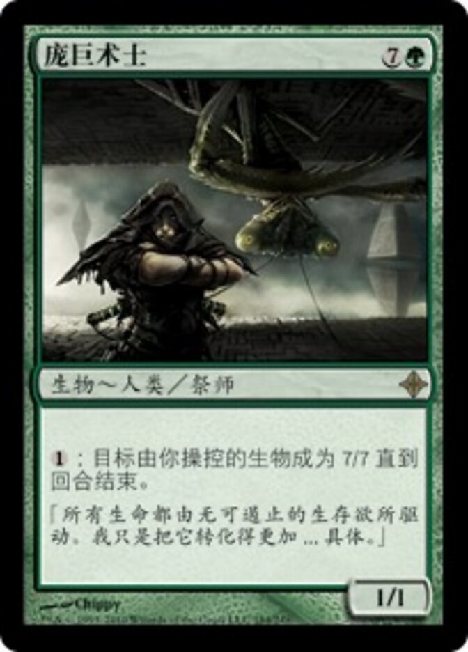 庞巨术士