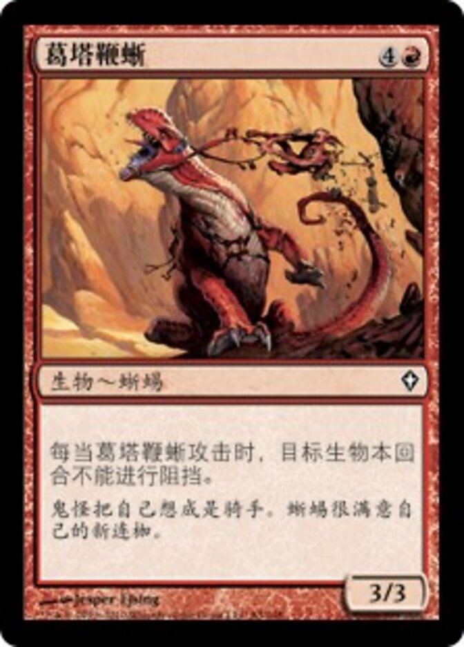 葛塔鞭蜥
