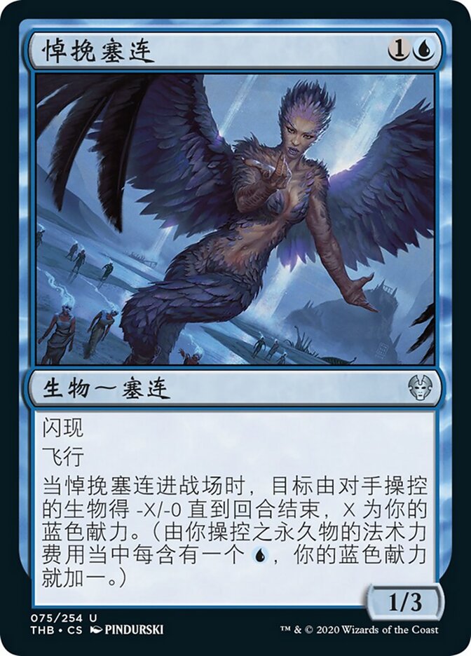 悼挽塞连