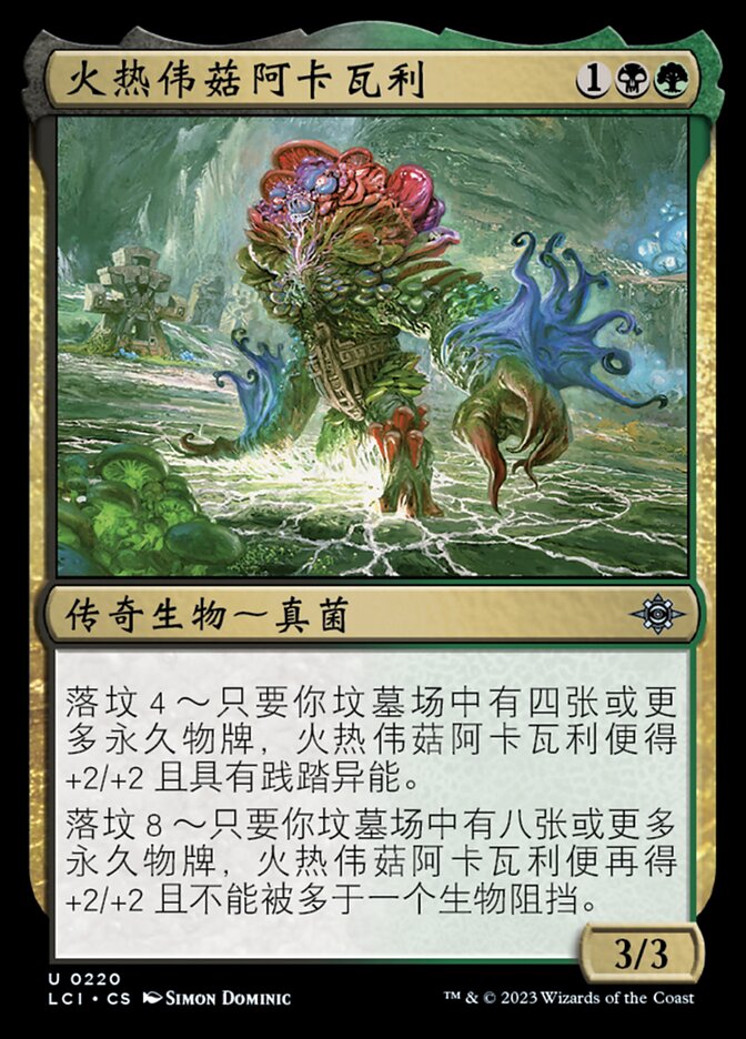 火热伟菇阿卡瓦利