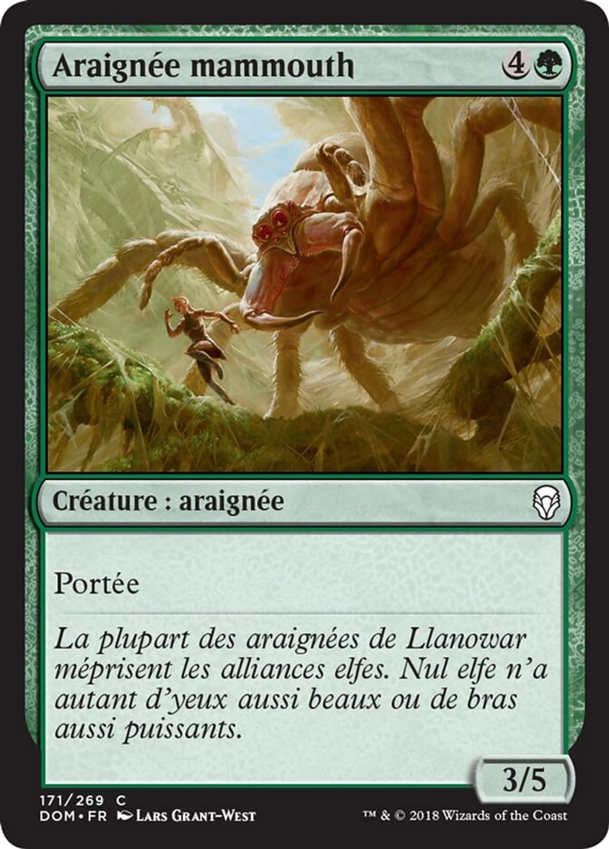 Araignée mammouth