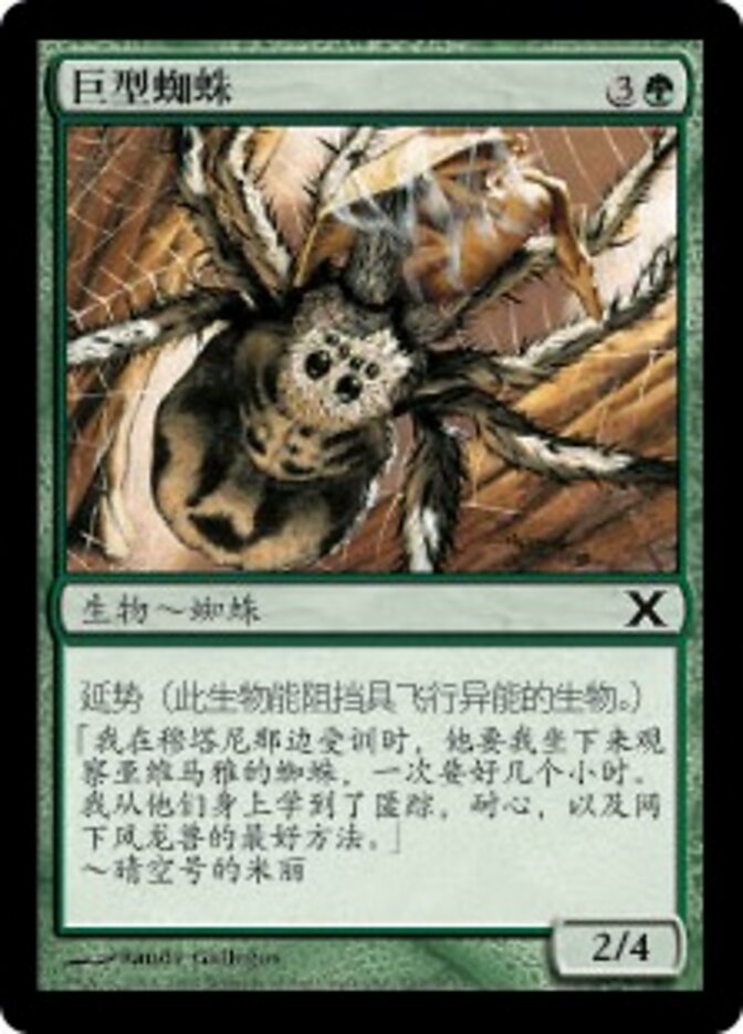 巨型蜘蛛