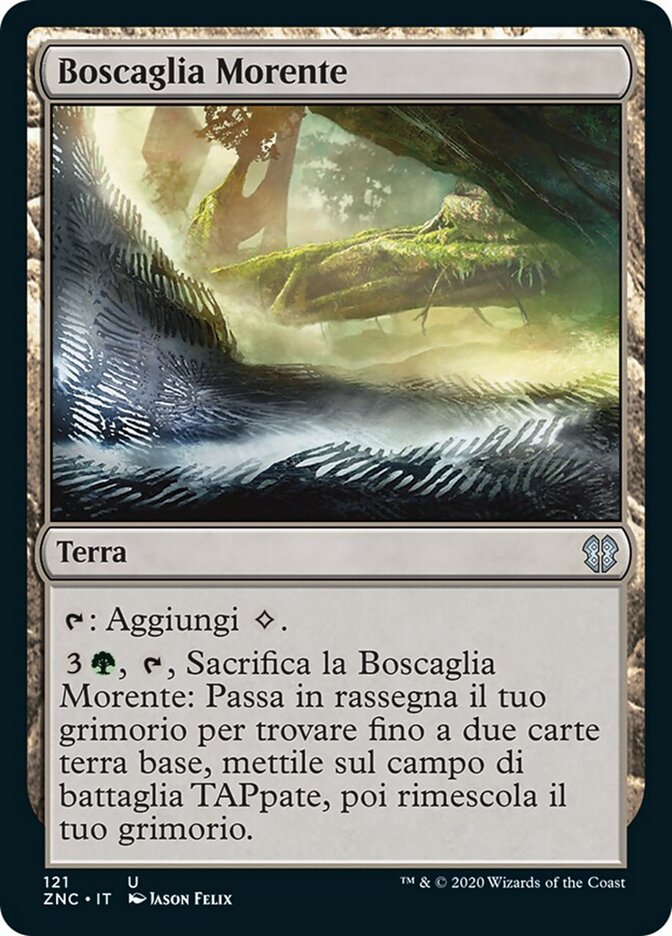 Boscaglia Morente