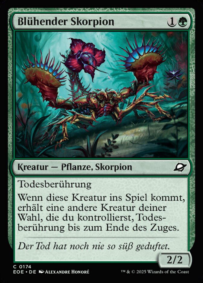 Blühender Skorpion