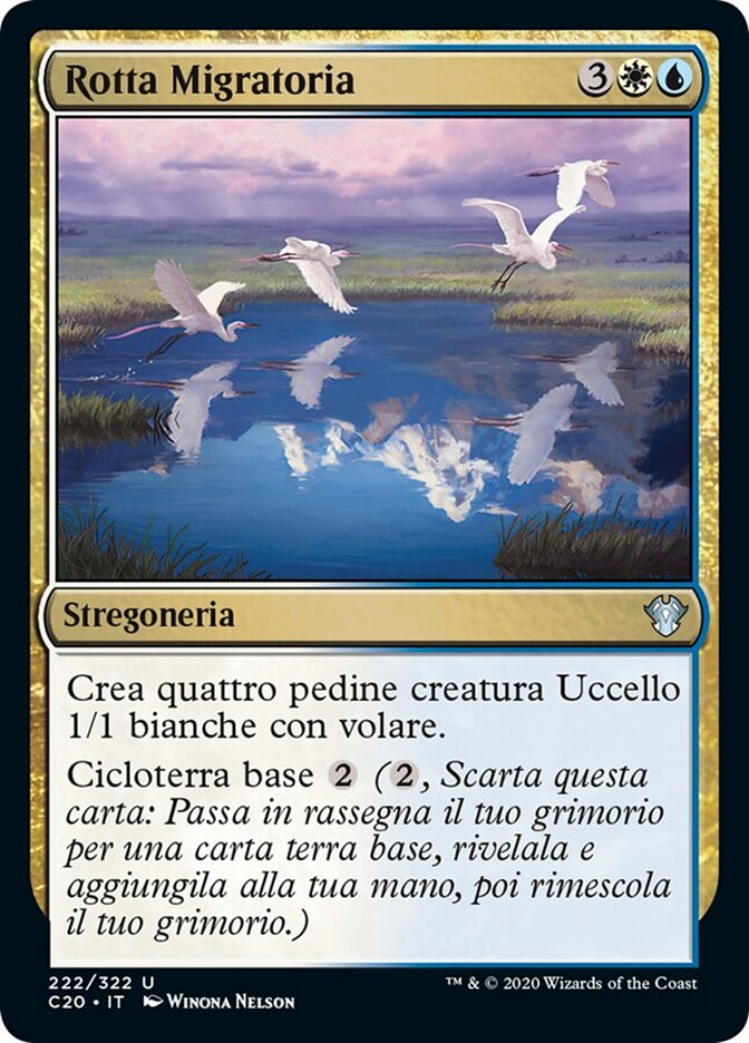 Rotta Migratoria