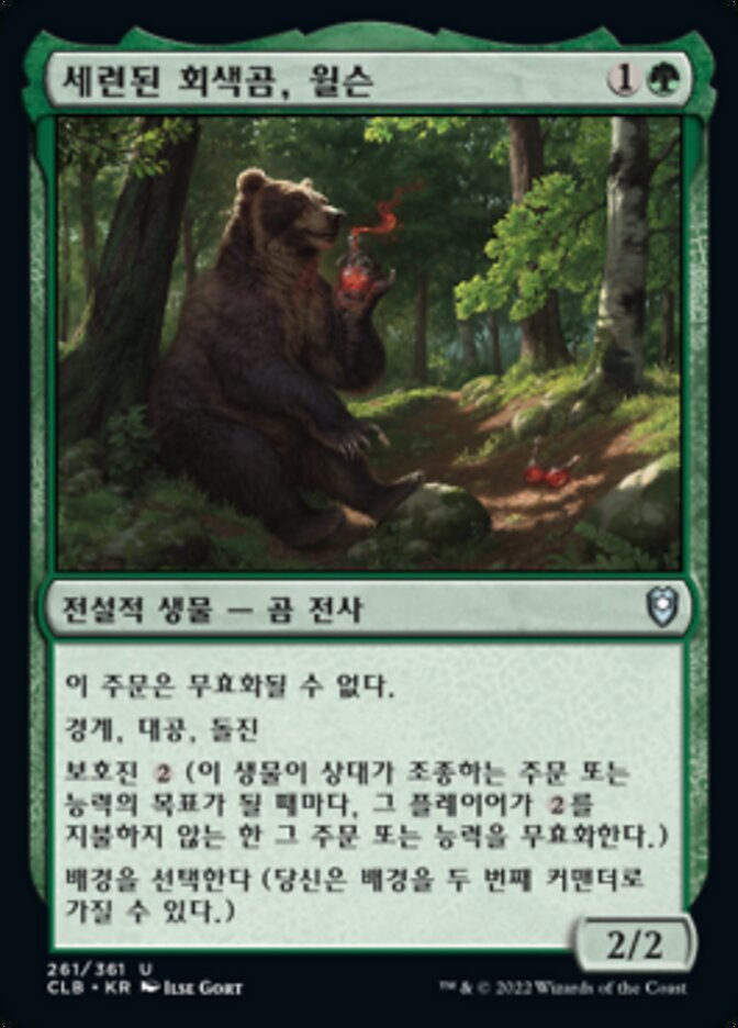 세련된 회색곰, 윌슨