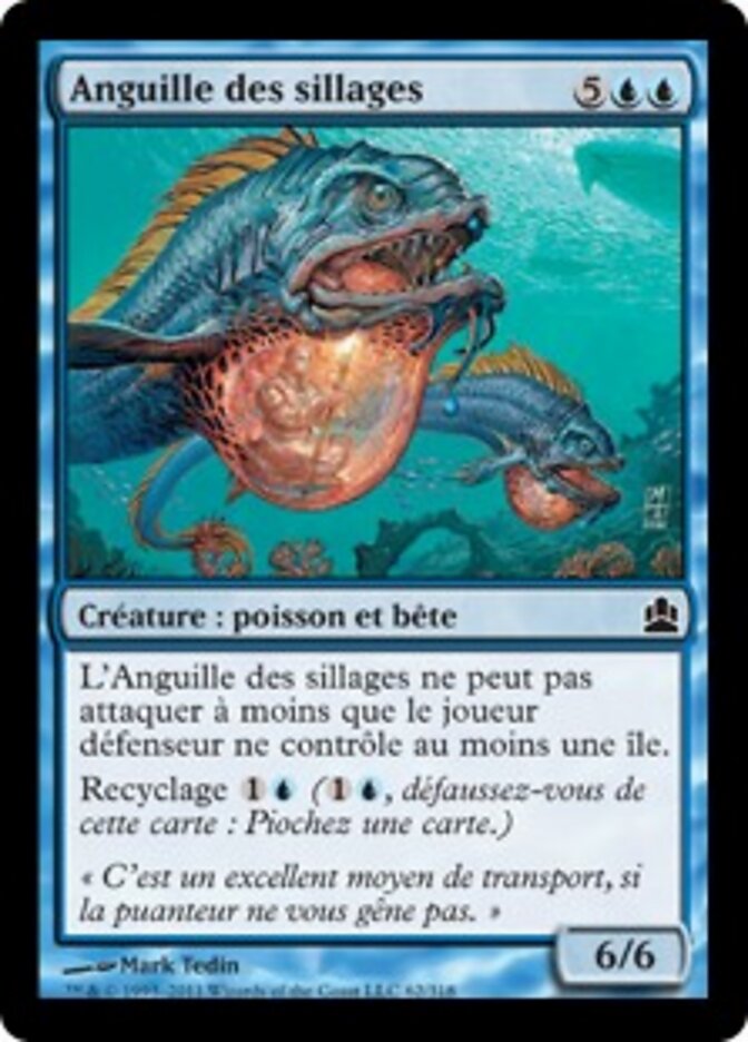 Anguille des sillages