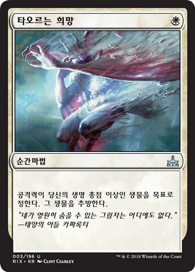 타오르는 희망