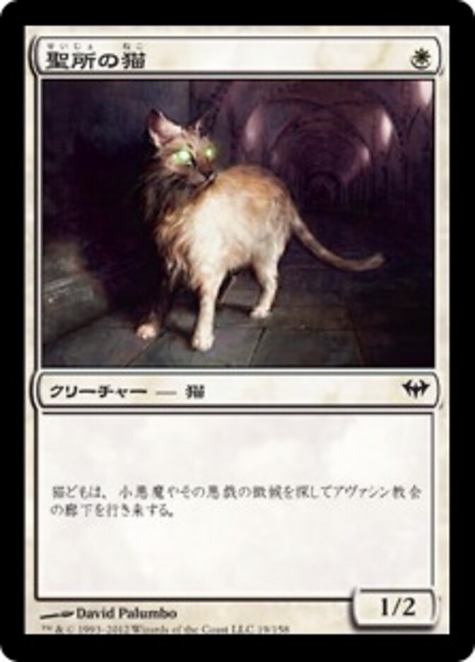 聖所の猫