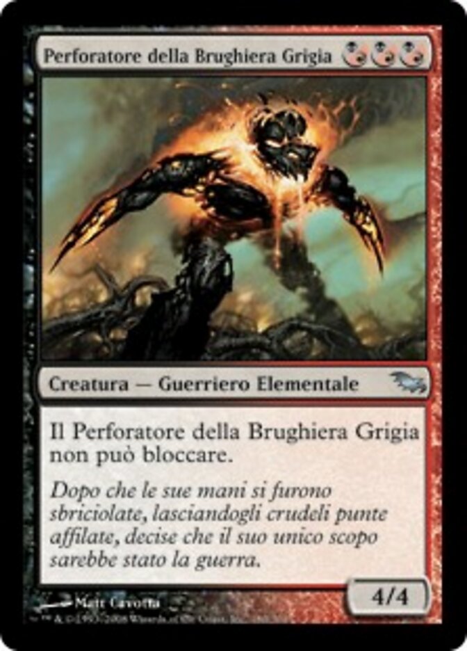 Perforatore della Brughiera Grigia