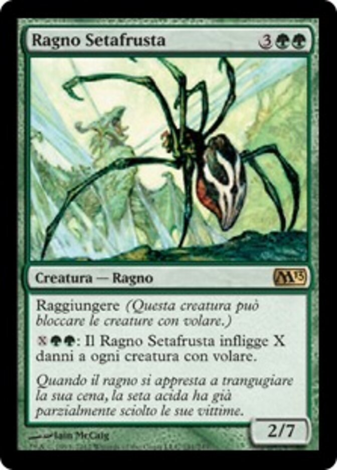 Ragno Setafrusta