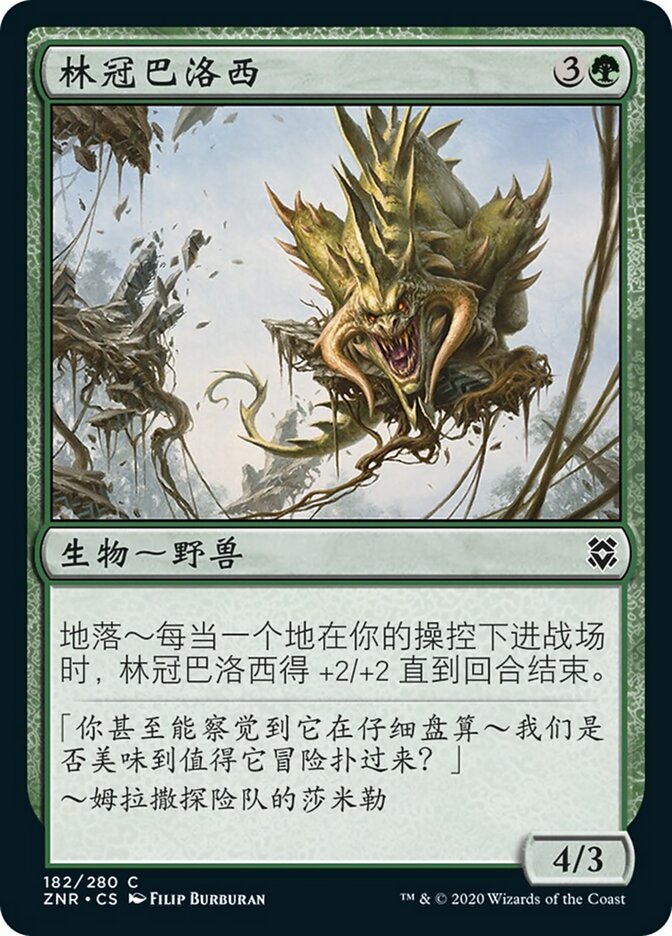 林冠巴洛西