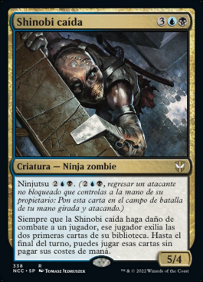Shinobi caída