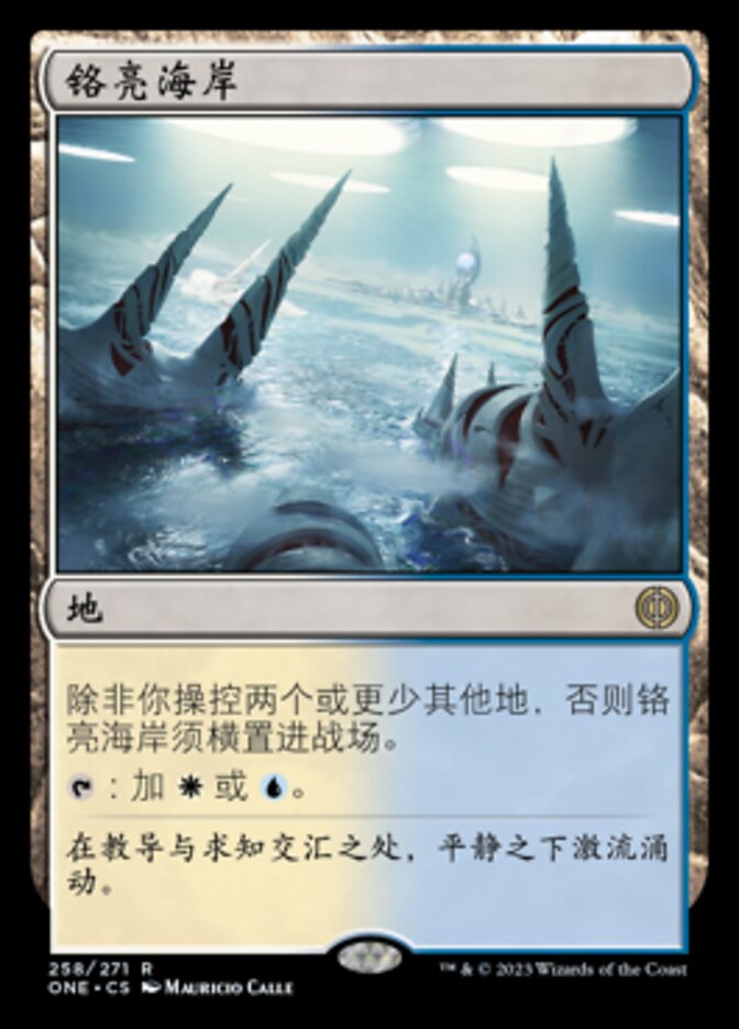 铬亮海岸