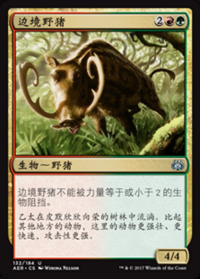边境野猪