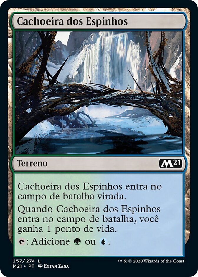 Cachoeira dos Espinhos