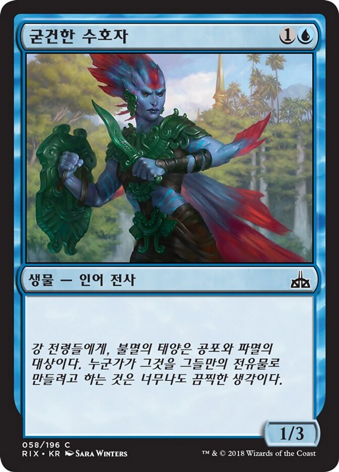 굳건한 수호자