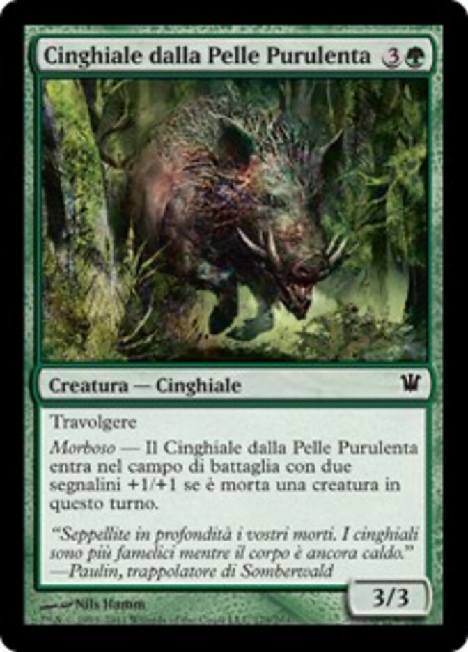 Cinghiale dalla Pelle Purulenta