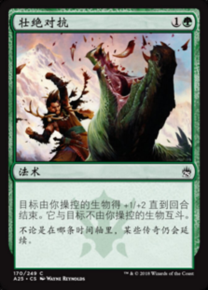 壮绝对抗