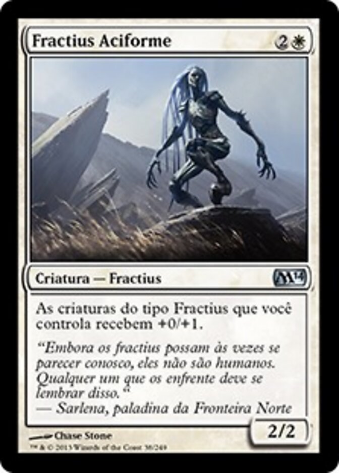 Fractius Aciforme