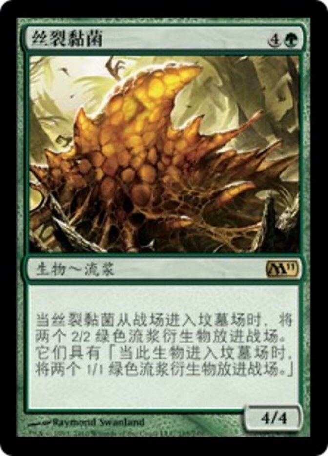 丝裂黏菌