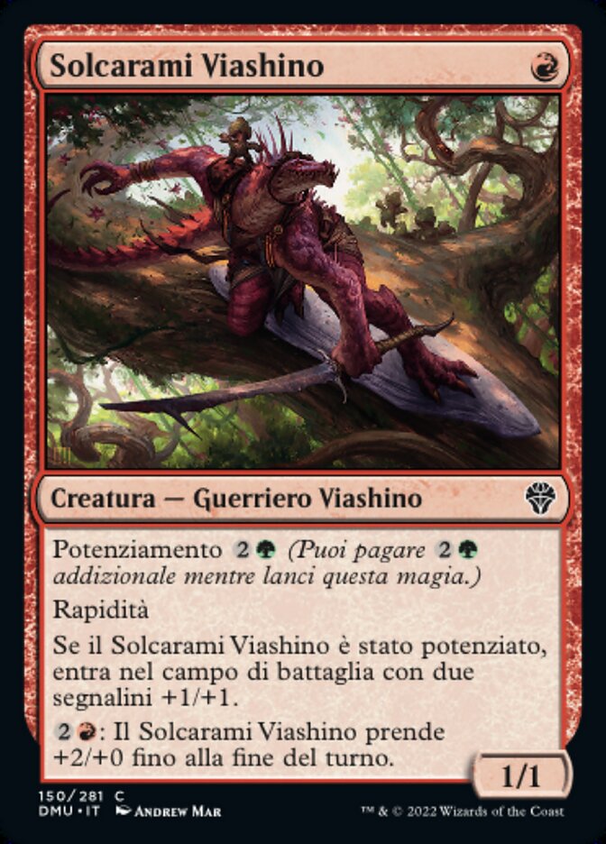 Solcarami Viashino