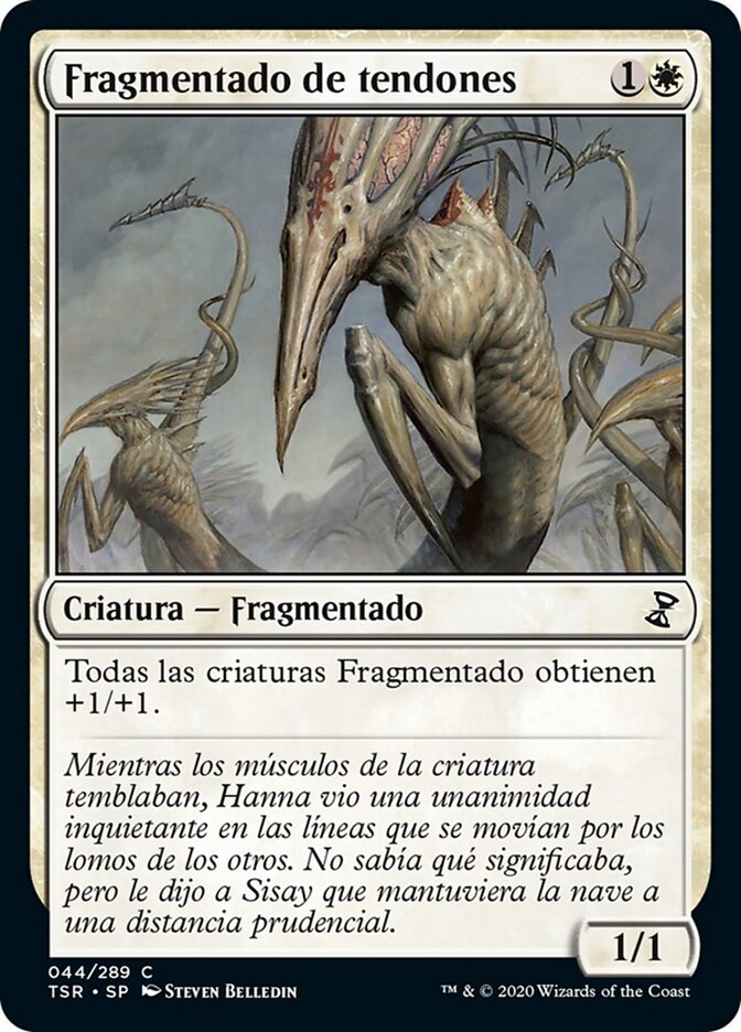 Fragmentado de tendones