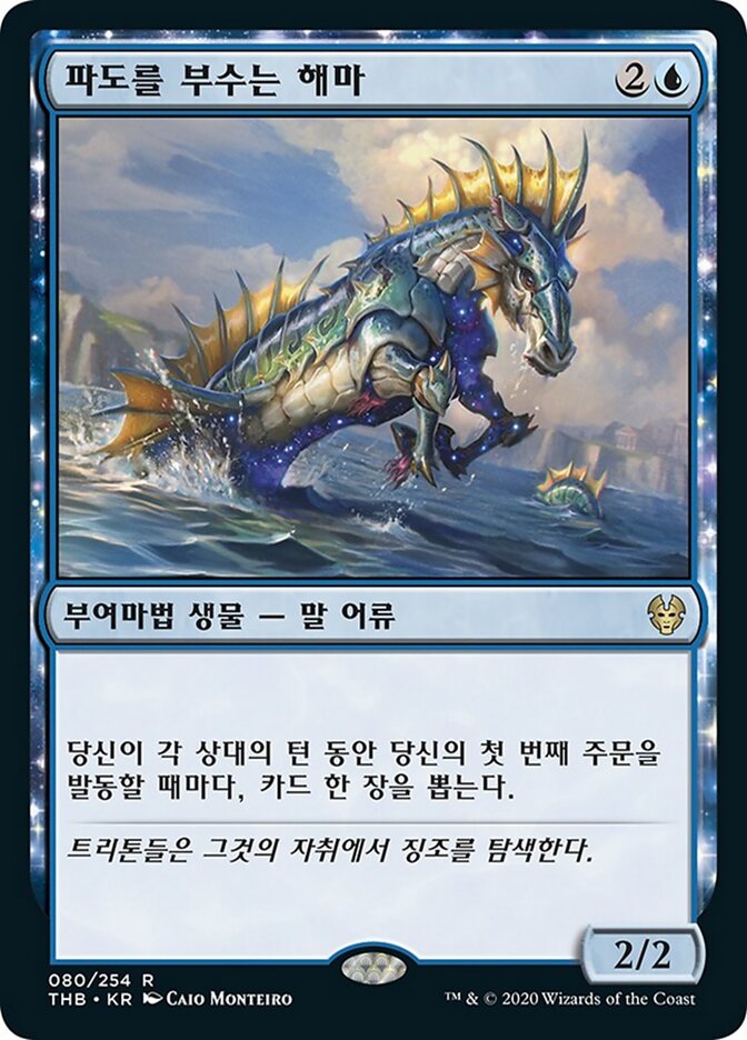 파도를 부수는 해마