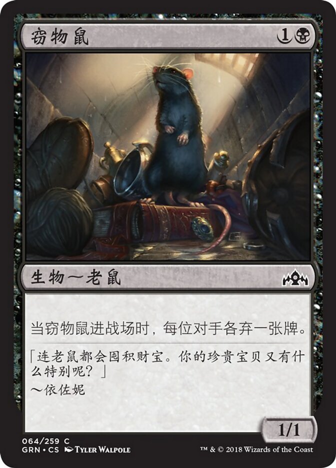 窃物鼠