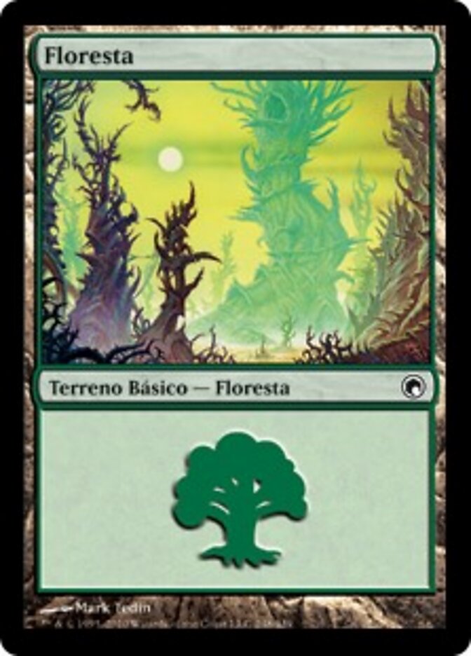 Floresta