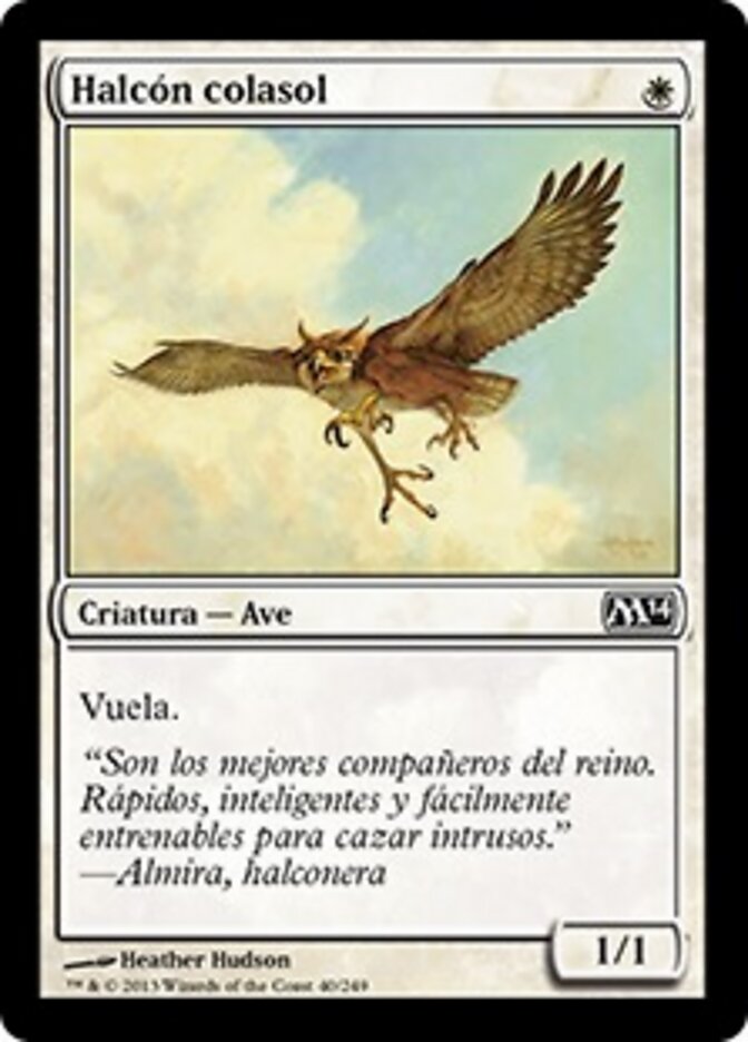 Halcón colasol