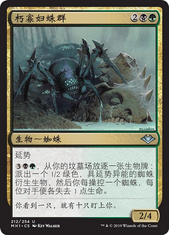 朽寡妇蛛群
