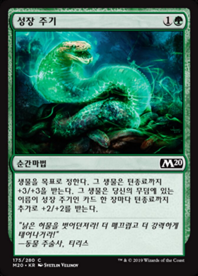 성장 주기