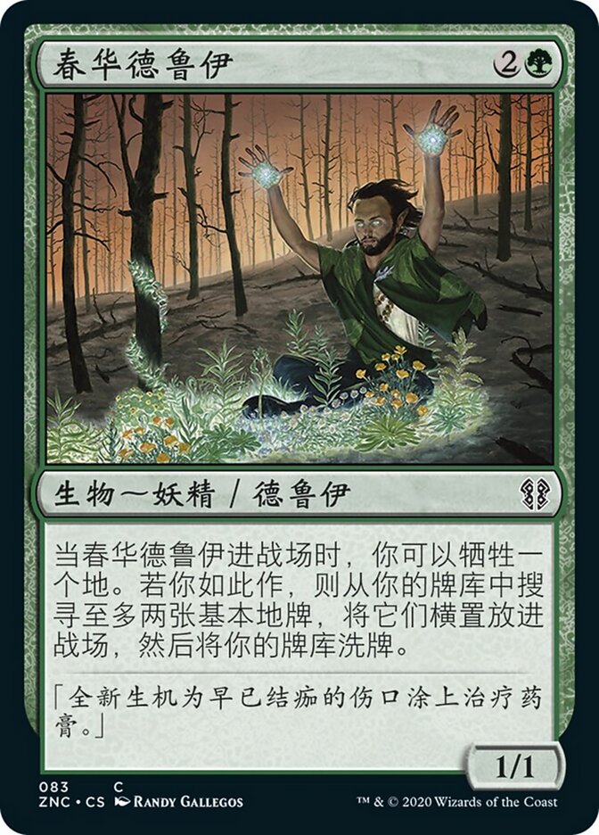 春华德鲁伊