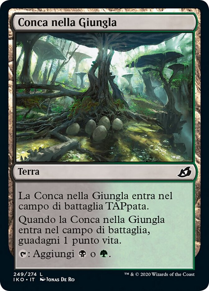 Conca nella Giungla